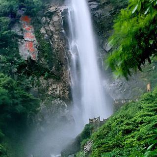 小汪汪